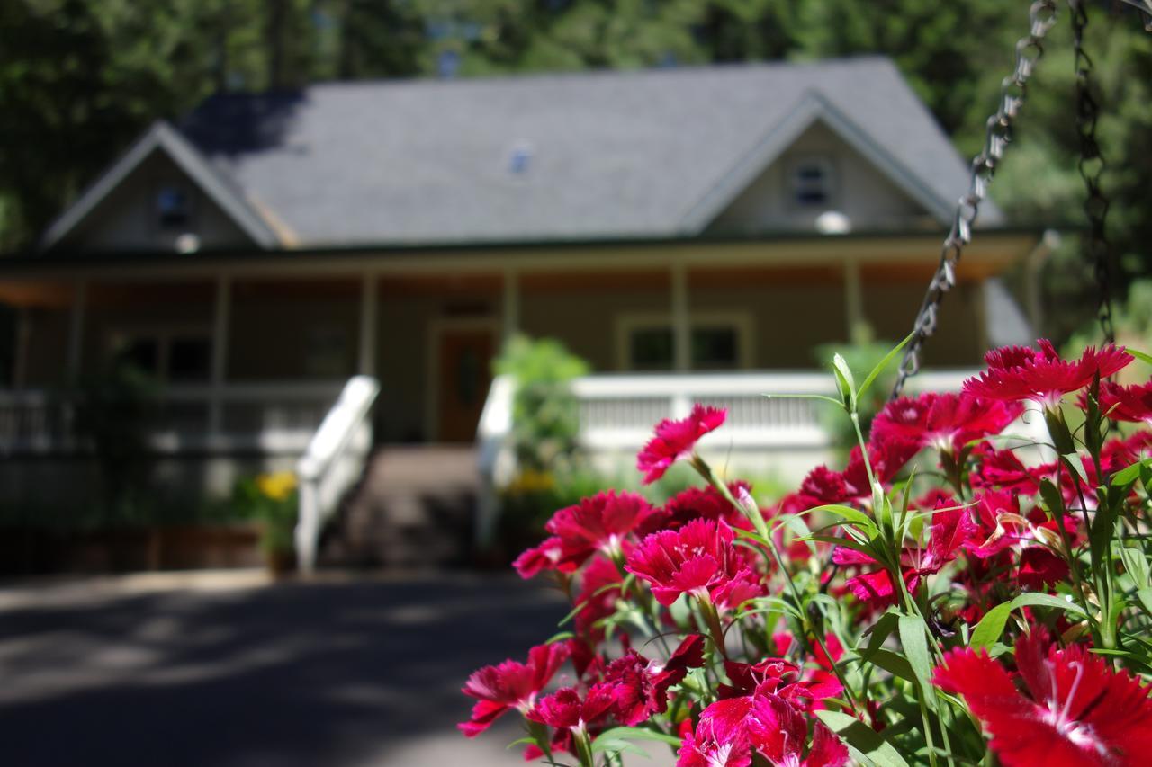 North Canyon Inn Bed & Breakfast Camino Exterior photo
